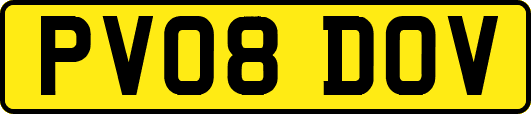 PV08DOV
