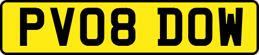 PV08DOW