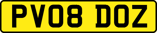 PV08DOZ