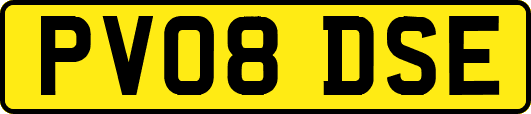 PV08DSE