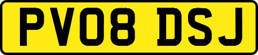 PV08DSJ