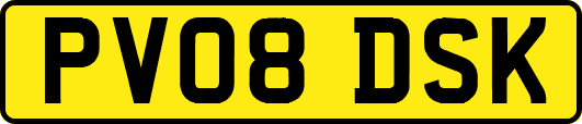 PV08DSK