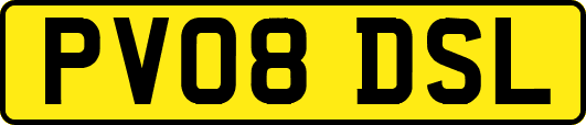 PV08DSL