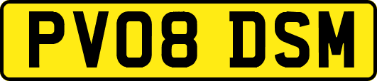 PV08DSM