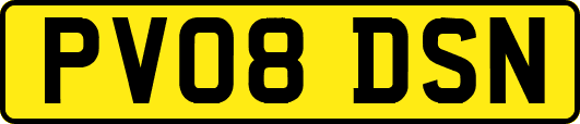 PV08DSN