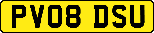 PV08DSU