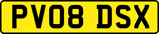 PV08DSX