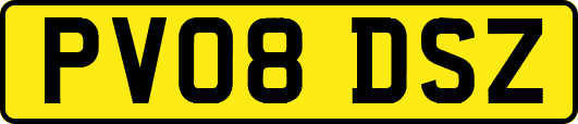PV08DSZ