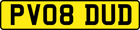 PV08DUD