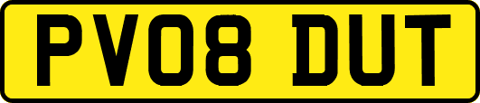 PV08DUT
