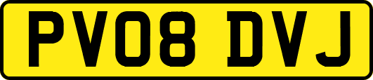 PV08DVJ