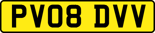 PV08DVV