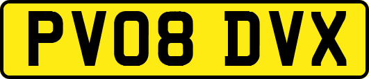 PV08DVX