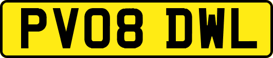 PV08DWL