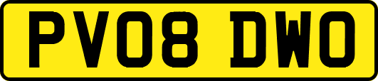PV08DWO
