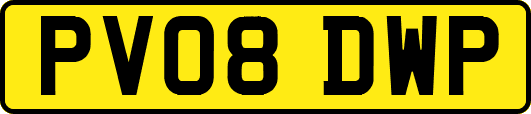 PV08DWP