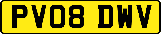 PV08DWV