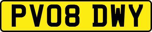 PV08DWY