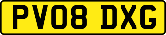 PV08DXG