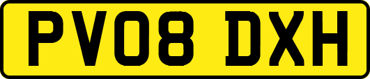 PV08DXH