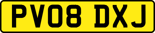 PV08DXJ