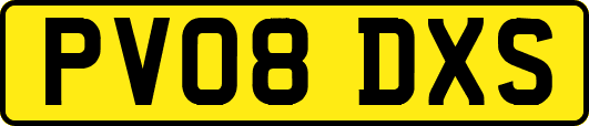 PV08DXS