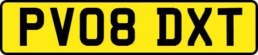 PV08DXT