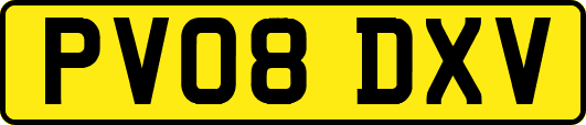 PV08DXV