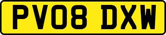 PV08DXW