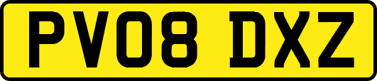 PV08DXZ