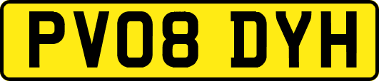 PV08DYH