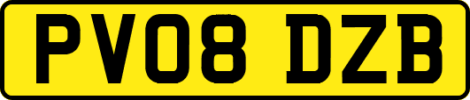 PV08DZB