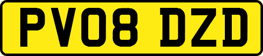 PV08DZD
