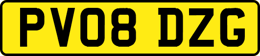 PV08DZG