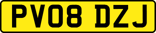 PV08DZJ