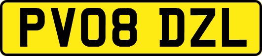 PV08DZL