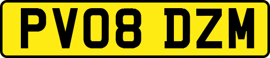 PV08DZM