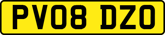 PV08DZO