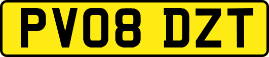 PV08DZT