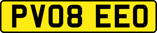 PV08EEO