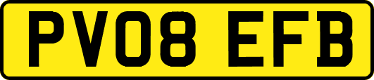 PV08EFB