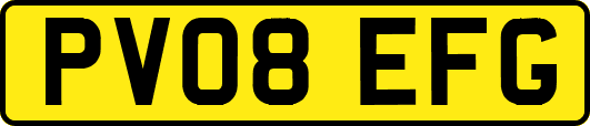 PV08EFG