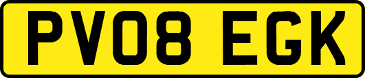 PV08EGK
