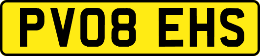 PV08EHS