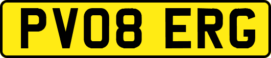 PV08ERG