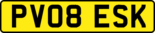PV08ESK