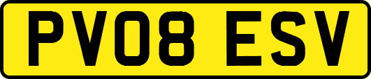 PV08ESV