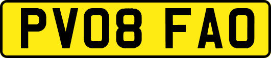 PV08FAO