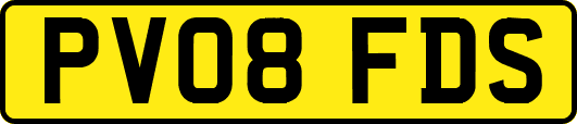 PV08FDS