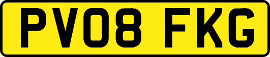 PV08FKG